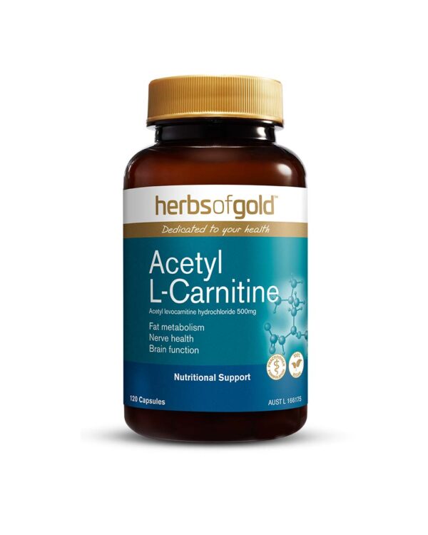 Acetyl L-Carnatine 120 Capsules by Herbs of Gold with front view of bottle