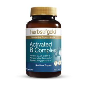 Activated B Complex 60 Capsules by Herbs of Gold with front view of bottle